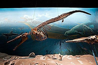 任天堂恢复其开发者访谈系列 原名为《社长询问》